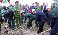 ビン副首相、「テトの植樹」運動に参加